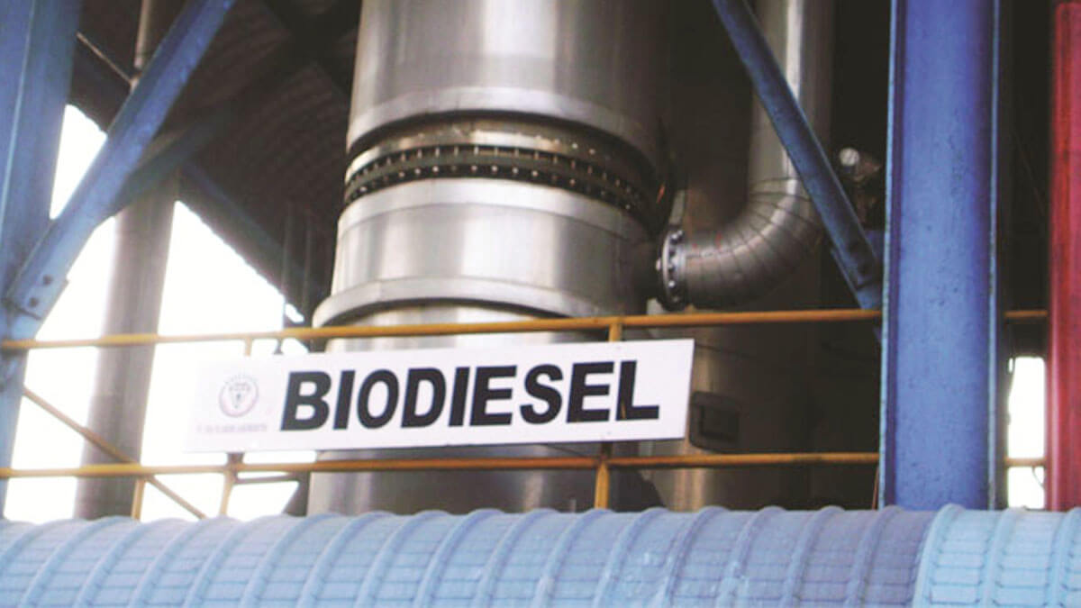 Biodiesel Bukan Sekadar Bahan Bakar, Tapi Jantung Ekonomi dan Solusi Iklim Indonesia. Sumber: Info Sawit