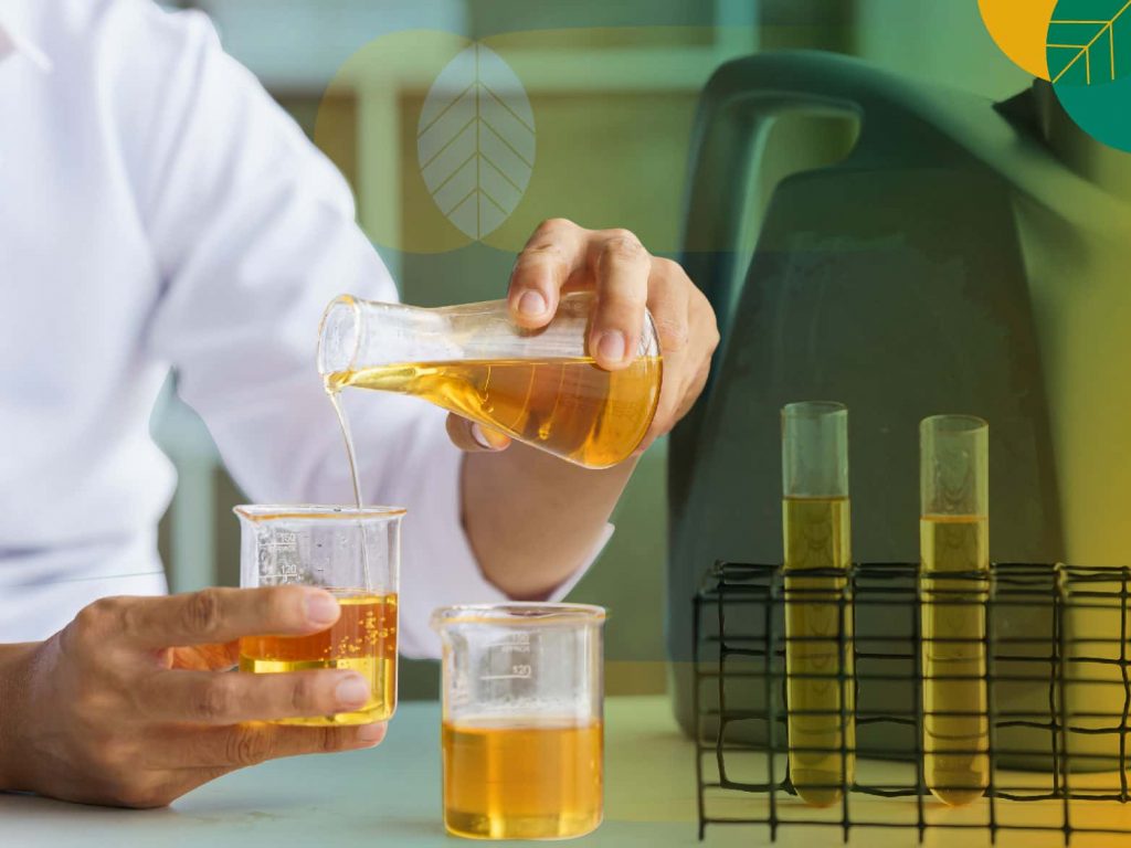 Biodiesel Sawit Indonesia Jadi Pahlawan Iklim Global. Sumber: Gokomodoa
