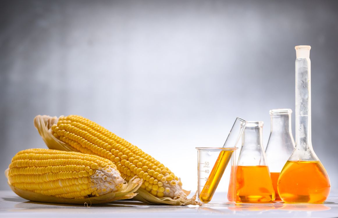 Bioetanol Jadi Penyelamat Fiskal dan Kedaulatan Energi Indonesia. Sumber: Oculyze