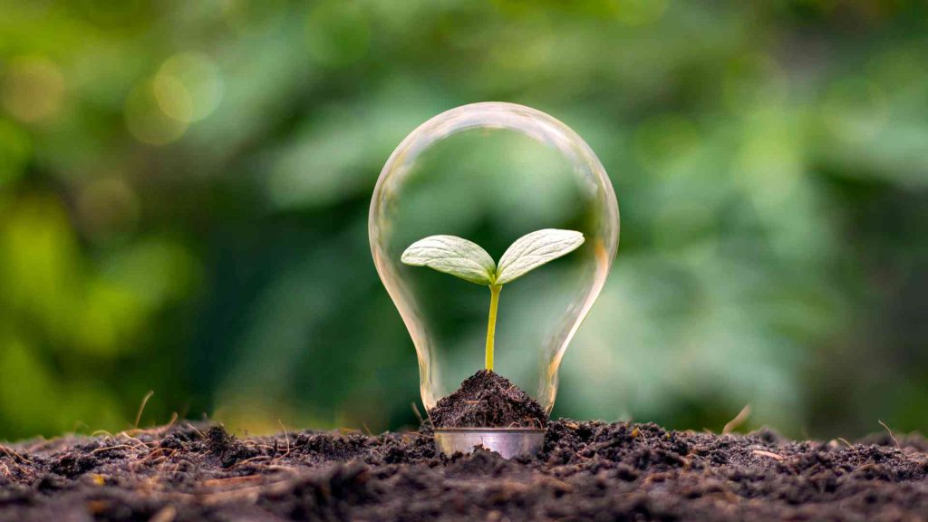 Biomassa: Solusi Energi Indonesia. Sumber: Atoenergi