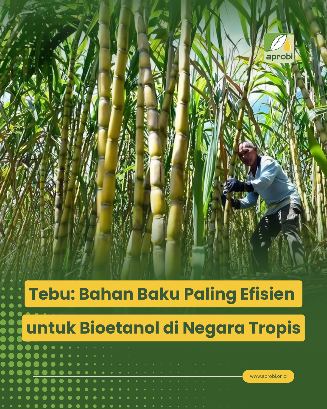 Tebu Jadi Jagoan Tropis Penghasil Bioetanol. Sumber: APROBI
