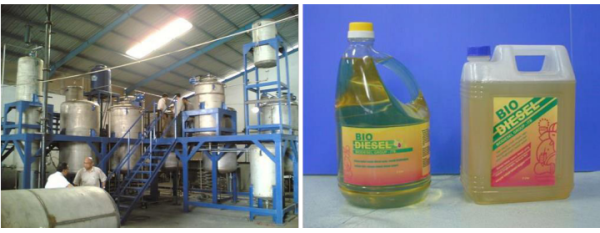 Unit Produksi ITB dan Produk Biodiesel yang Dihasilkan ITB (Sumber: Dokumentasi Koleksi Tirto Prakoso)